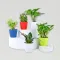 Grand 5 House Plant Set