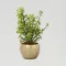Jade Plant In Gold Tone Metal Pot