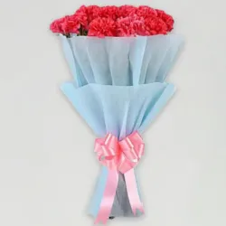 Adorable Pink Carnations Bouquet Adorable Pink Carnations Bouquet