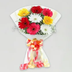 Mixed Brilliance Gerbera Flower Bouquet