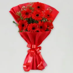Red Elegance Gerbera Bouquet