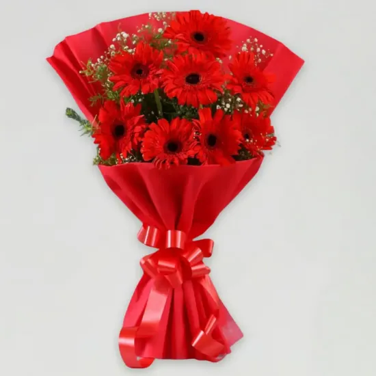 Order Red Elegance Gerbera Bouquet Online in Bhopal - Blue Heaven Red Elegance Gerbera Bouquet - Blue Heaven