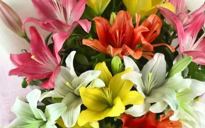 Express Your Emotions with Beautiful Flower Bouquets from Blue Heaven
