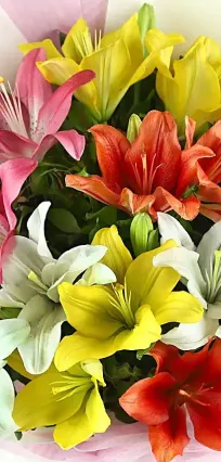 flowers-homepage-blue-heaven-bakery