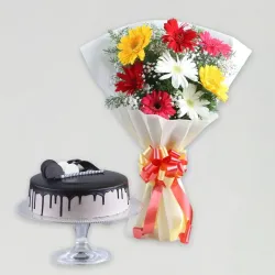Colourful Gerberas & Chocolate Cake Combo Colourful Gerberas & Chocolate Cake Combo